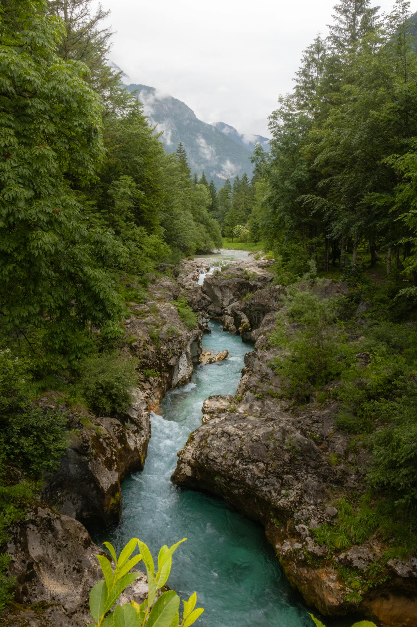 Explore a tranquil alpine river surrounded by lush forest and majestic mountains, perfect for nature lovers.